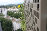 Tournesol